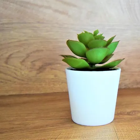 Sandra -lopar ゲストハウス 3*