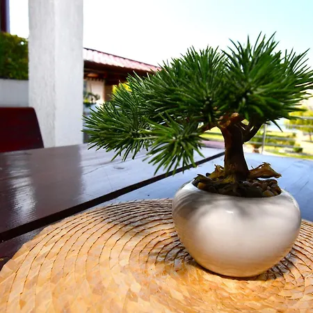 Sandra -lopar ロパール