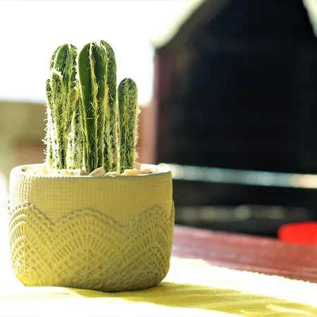 게스트하우스 Sandra -lopar