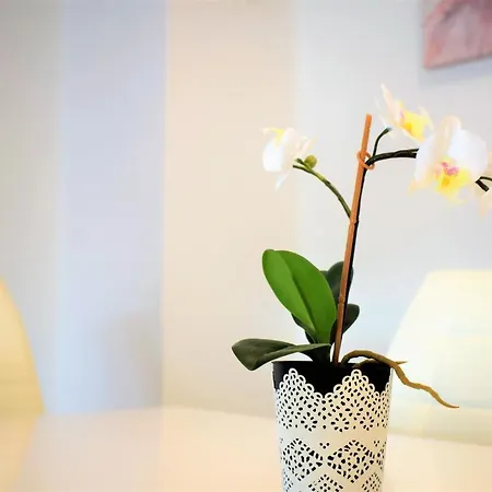 Sandra -lopar 로파르